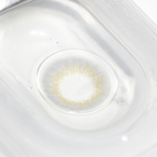 Mix Ann Holiday Gray(月拋)